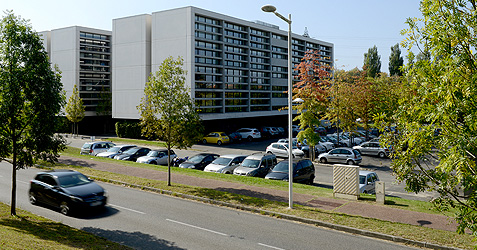 Bigarrena