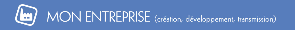 Mon entreprise (création, développement, transmission)